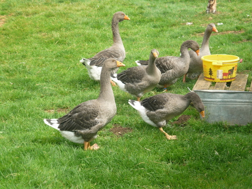 fhb-ausflug-2009_29349268911_o.jpg