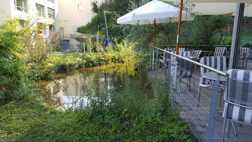 3-fhb-treffen-2016_29809946225_o.jpg